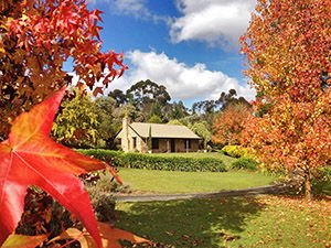 Adelaide Hills Country Cottages - Lavender Fields - Tourism Canberra 0