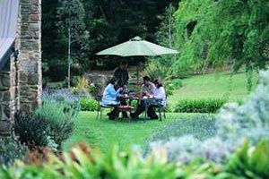 Adelaide Hills Country Cottages - Lavender Fields - Tourism Canberra 2