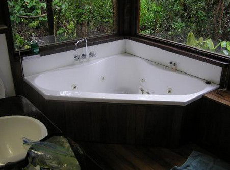 The Canopy Rainforest Tree Houses And Wildlife Sanctuary - Tourism Canberra 0