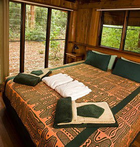 The Canopy Rainforest Tree Houses And Wildlife Sanctuary - Tourism Canberra 2