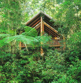 The Canopy Rainforest Tree Houses And Wildlife Sanctuary - Tourism Canberra 5
