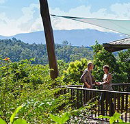 Rose Gums Wilderness Retreat - Tourism Canberra