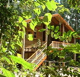Rivers Edge Rainforest Retreat - Tourism Canberra