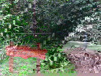 Rivers Edge Rainforest Retreat - Tourism Canberra 4