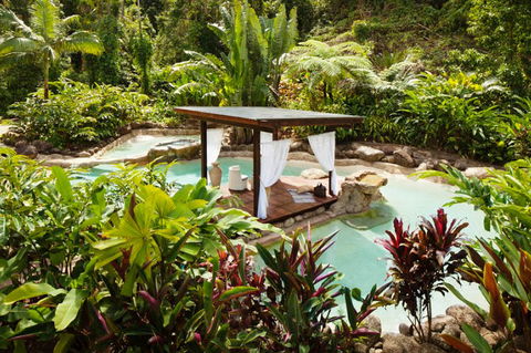 Misty Mountains Tropical Rainforest Romantic Retreat - Tourism Canberra 3