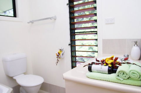 Misty Mountains Tropical Rainforest Romantic Retreat - Tourism Canberra 5