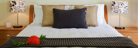 Misty Mountains Tropical Rainforest Romantic Retreat - Tourism Canberra 7