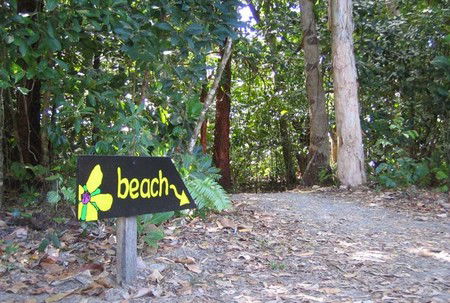Cape Tribulation Camping - Tourism Canberra 2