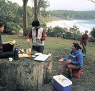 Fortescue Bay Camping Ground - Tourism Canberra