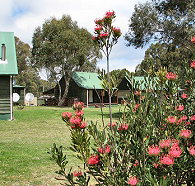 Derwent Bridge Chalets and Studios - Tourism Canberra