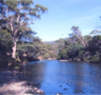Douglas River Cabin - Tourism Canberra