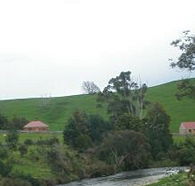 Tin Dragon Trail Cottages - Tourism Canberra