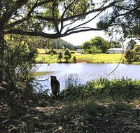 Newry Park Cottage - Tourism Canberra
