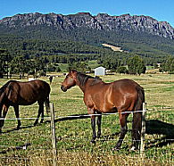 Hurlfield Farm Cottage - Tourism Canberra