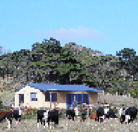 Marrawah Beach House - Tourism Canberra