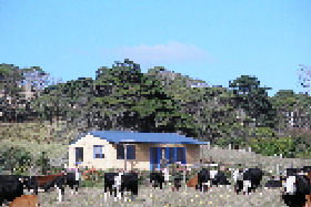 Marrawah Beach House - Tourism Canberra 0