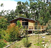 Southern Forest Accommodation - Tourism Canberra