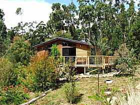 Southern Forest Accommodation - Tourism Canberra 0