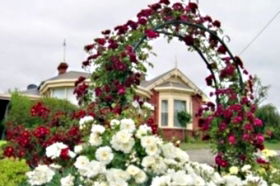 Golden Embers Apartments And B And B - Tourism Canberra 0