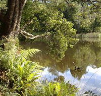 Weldborough Camping Ground - Tourism Canberra