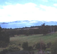 Waterview Gardens - Tourism Canberra