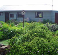 Engadine Cottage - Tourism Canberra