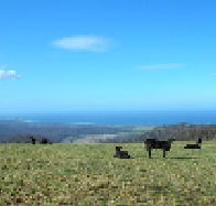 St Marys Seaview Farm - Tourism Canberra