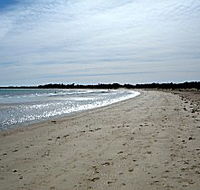 Greens Beach Caravan Park - Tourism Canberra