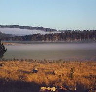 Fonthill - Tourism Canberra