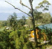 Partridge Farm - Tourism Canberra