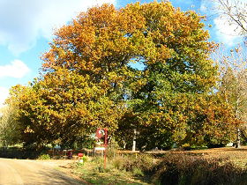 Wyena TAS Tourism Canberra