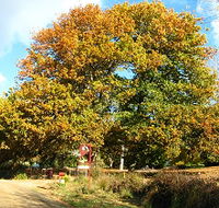 Red Rooster Host Farm - Tourism Canberra