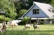 Hide-Away Cottage Retreat - Tourism Canberra 2