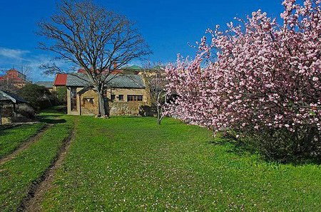 Forget-Me-Not Cottage - Tourism Canberra 3