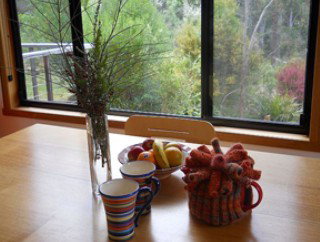 Southern Forest Accommodation - Tourism Canberra 1