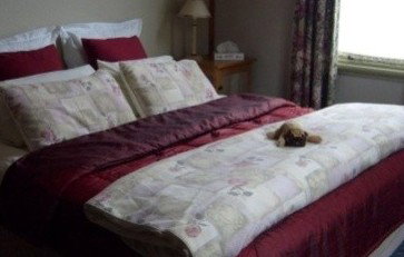 McIntosh Cottages - Tourism Canberra 5