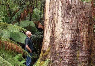 Fingal Hotel - Tourism Canberra 5