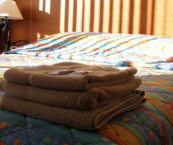 Mt Lyell Motor Inn - Tourism Canberra 3