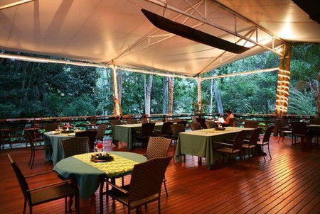 Cedar Park Rainforest Resort - Tourism Canberra 5