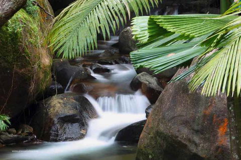 Daintree Secrets (Award Winning Retreat) - Tourism Canberra 1