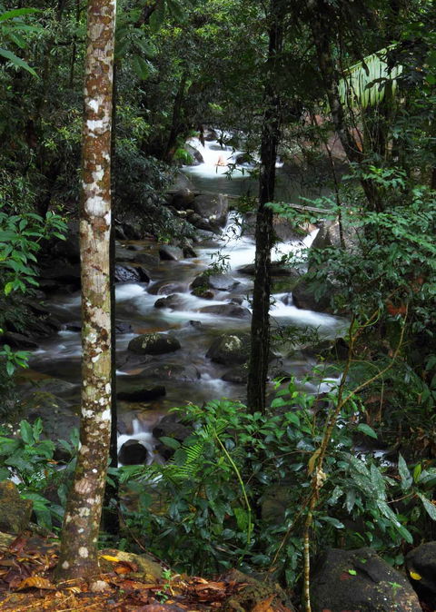 Daintree Secrets (Award Winning Retreat) - Tourism Canberra 2