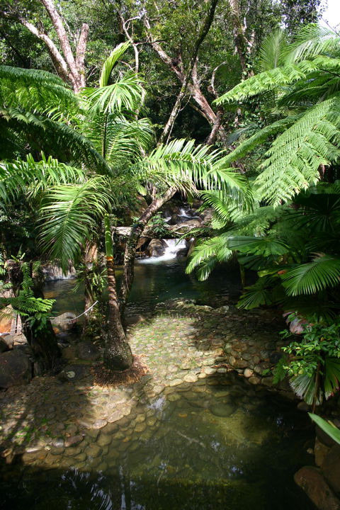 Daintree Secrets (Award Winning Retreat) - Tourism Canberra 4