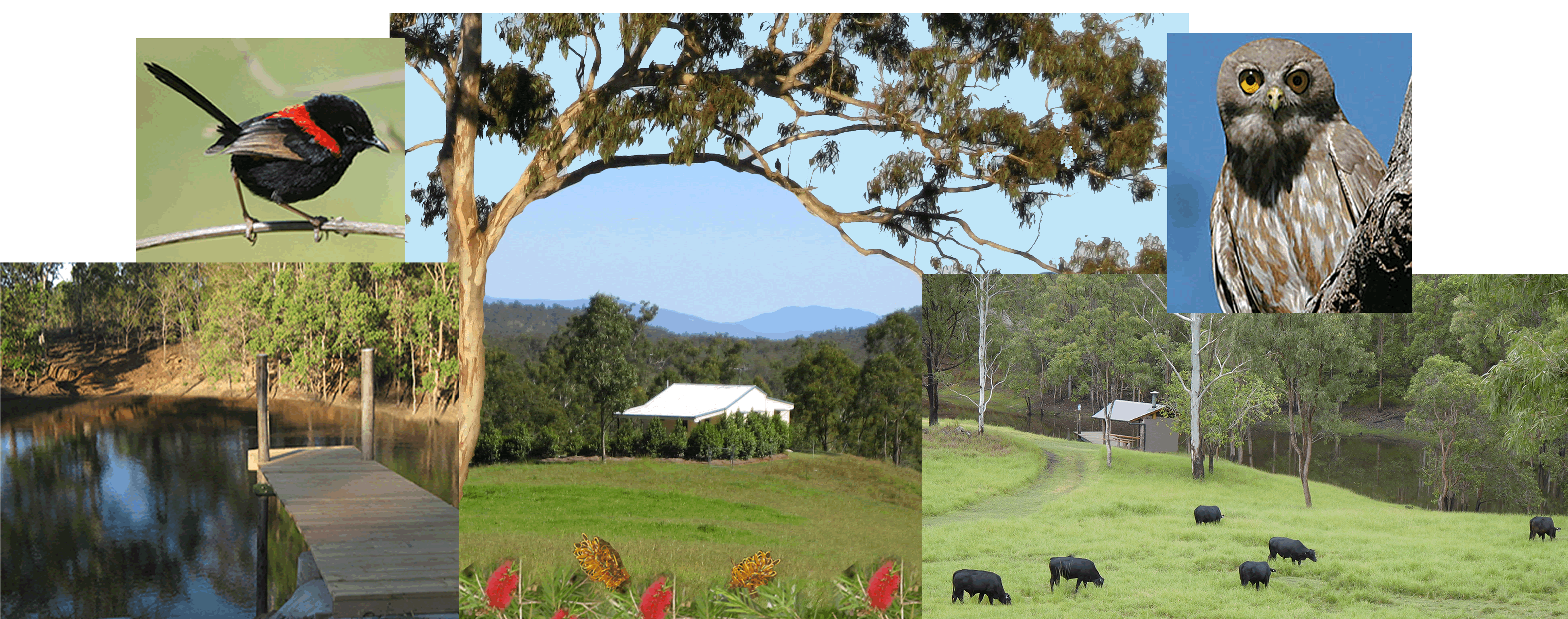 Barking Owl Retreat - Tourism Canberra