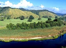 Tranquility On The Daintree - Tourism Canberra 2