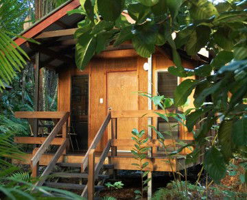 Cape Trib Beach House YHA - Tourism Canberra 4