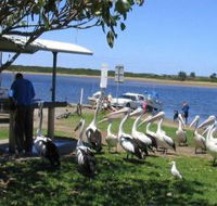 Mountain View Caravan and Mobile Home Village - Tourism Canberra