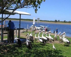 Mountain View Caravan And Mobile Home Village - Tourism Canberra 0