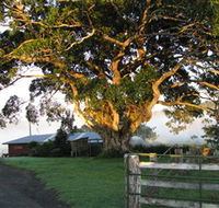 Arley Farm The Old Dairy - Tourism Canberra