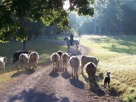 Brooloo Park - Tourism Canberra 0