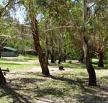 Woods Reserve - Tourism Canberra